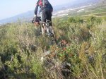 salida 03-10-09 029 [Desktop Resolution].jpg