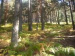 Foto19.JPG