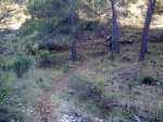04102009_004.jpg