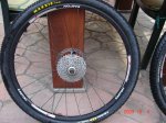 DSC04660.JPG