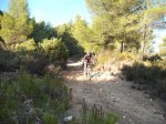 DSCF6470.JPG
