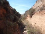 DSCF6581.JPG