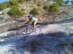 29ER ADR.jpg