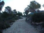 DSCF6423.JPG