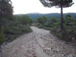DSCF6424.JPG