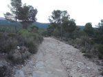 DSCF6425.JPG