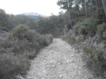 DSCF6427.JPG