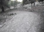 DSCF6431.JPG