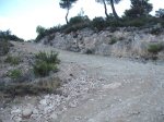 DSCF6447.JPG