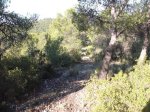 DSCF6487.JPG