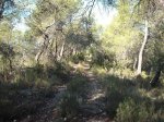 DSCF6488.JPG