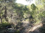DSCF6489.JPG