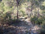 DSCF6490.JPG