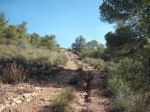 DSCF6504.JPG