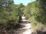DSCF6538.JPG