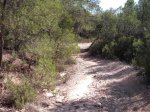 DSCF6541.JPG