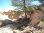 DSCF6563.JPG