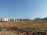 monte de las cenizas 120.jpg