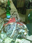 03102009(011)copia.jpg