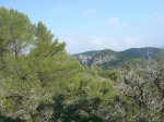 26-MTB-EsCavallet-PuntaDesFalco.jpg