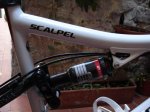 DT SWISS Carbono.jpg