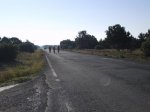 S6001080.jpg
