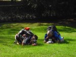 iÃ±aki buscant bolets.jpg