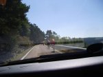 S6001316.jpg