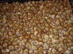 DSC07366.jpg