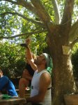 DSC07404.jpg