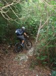 DSC07508.jpg