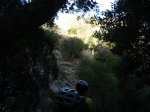 DSC07510.jpg