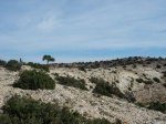 DSC07523.jpg