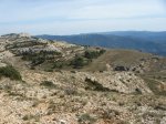 DSC07524.jpg