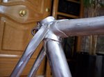 torrot- 002.jpg