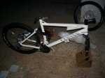 IMGP3163.JPG