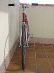 Copia de IMG_3037.JPG