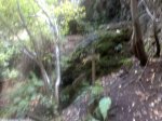 06102009847.jpg