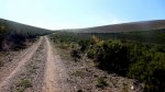 L1020691_redimensionar.jpg