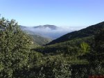 DSC02047.jpg