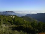 DSC02049.jpg