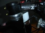 DSC03781.jpg