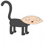 gato.JPG