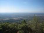 IMG_4393.jpg