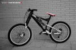 dsc9146.jpg