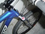 fox talas 014.JPG