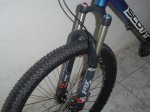 fox talas 019.JPG