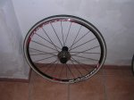 DSCN7877.jpg