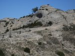 SDC10187.jpg