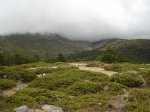 DSC02134.jpg